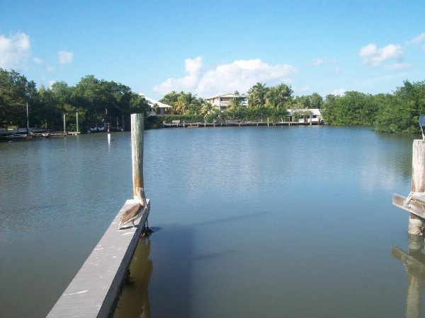 Kingsail Resort image 19